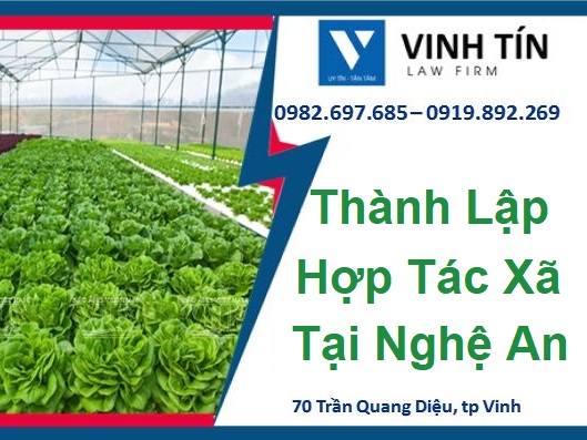 Thủ Tục Thành Lập Hợp Tác Xã Tại Vinh Nghệ An